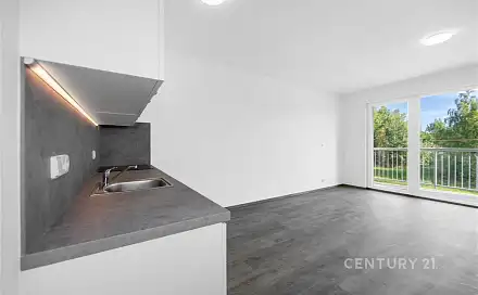 Prodej bytu 2+kk 60 m², Loudů, Dobřany, okres Plzeň-Jih
