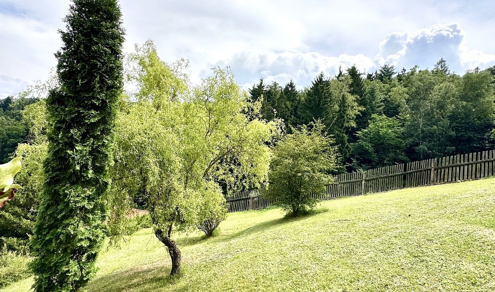 Prodej stavebního pozemku 3 706 m², Stříbrná Skalice – fotka 1 z 22