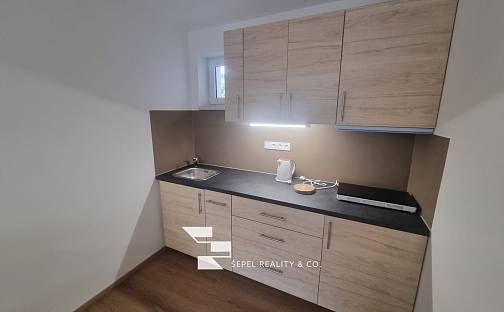 Pronájem bytu 1+1 32 m², Metodějova, Brno - Královo Pole
