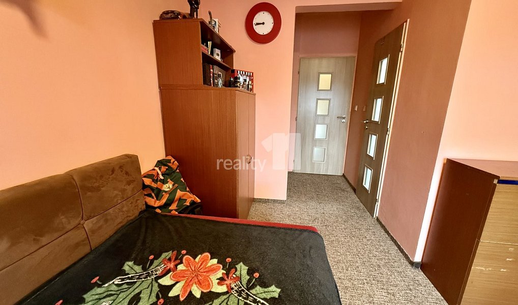 Prodej domu 240 m² s pozemkem 3 645 m², Aš – náhled fotky 35