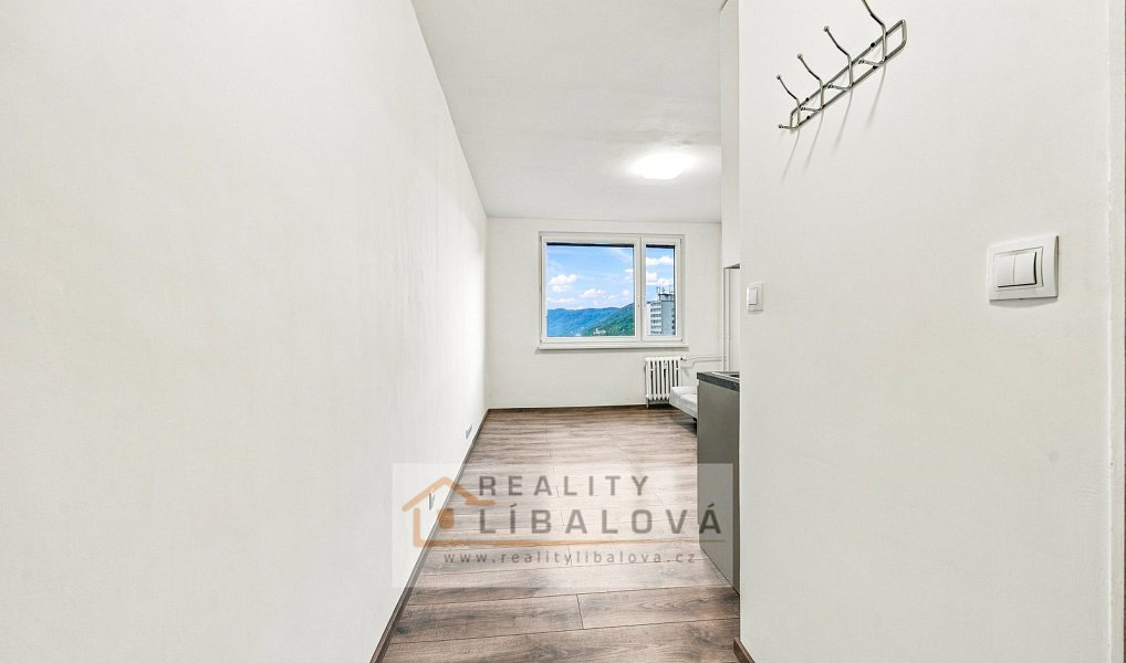 Pronájem bytu 1+kk 20 m², Ústí nad Labem – náhled fotky 13