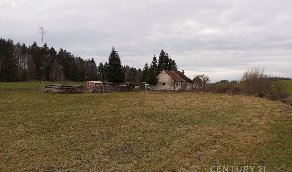 Prodej stavebního pozemku 3 068 m², Studená – náhled fotky 9