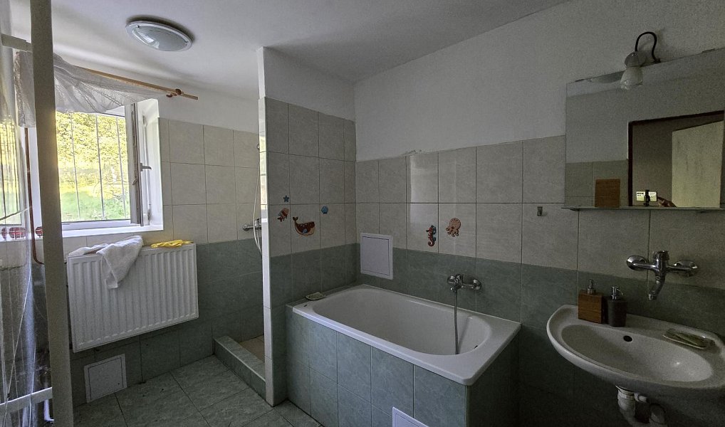 Prodej domu 138 m² s pozemkem 5 893 m², Prlov – náhled fotky 15