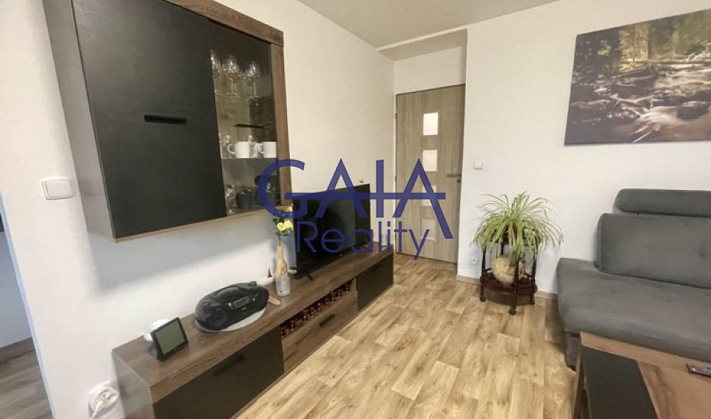 Prodej bytu 3+1 64 m², Strážovice – náhled fotky 11