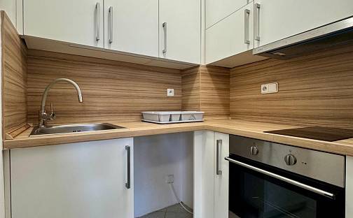 Pronájem bytu 1+kk 28 m²