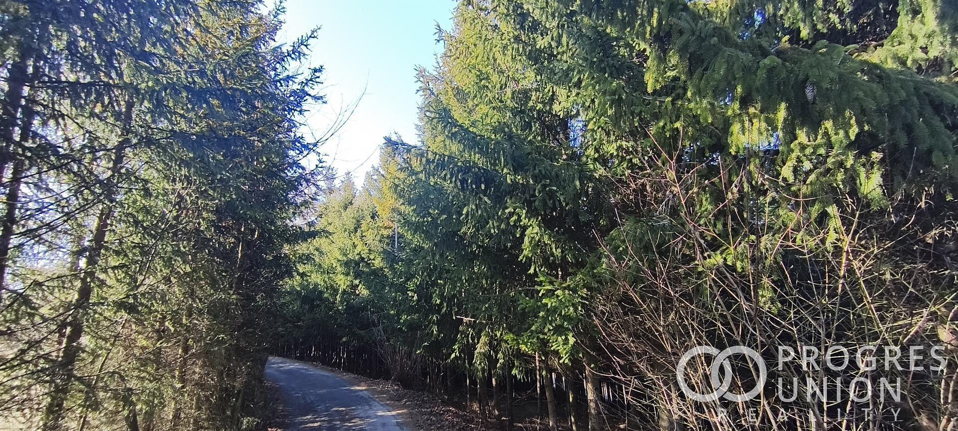 Nabízíme k prodeji les ve Lhotě u Vsetína – pohled 2