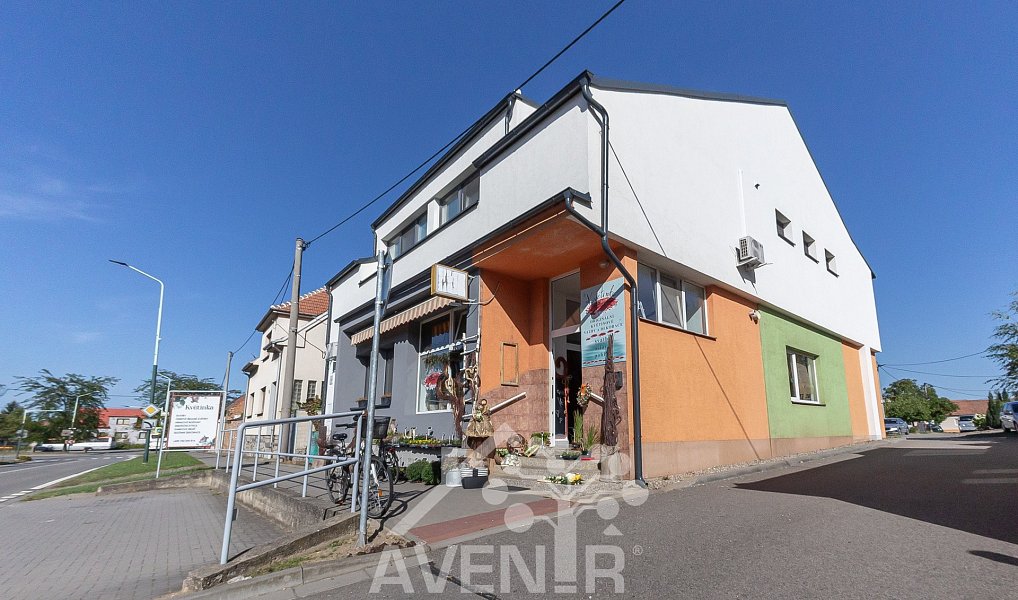 Prodej komerčního objektu (jiného typu) 329 m², Ratíškovice – náhled fotky 3