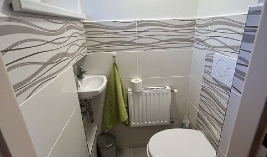 Pronájem domu 170 m² s pozemkem 832 m², Vizovice – náhled fotky 9