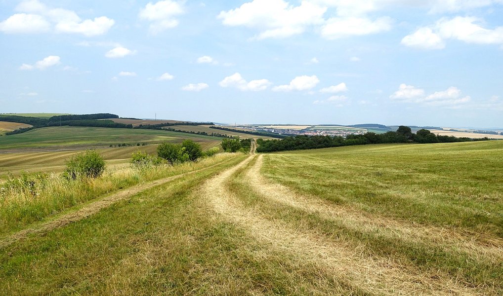 Prodej pole 6 120 m², Slavkov – náhled fotky 4