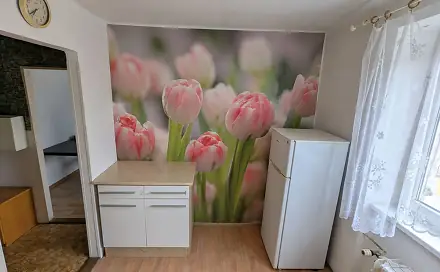 Prodej bytu 1+1 29 m²