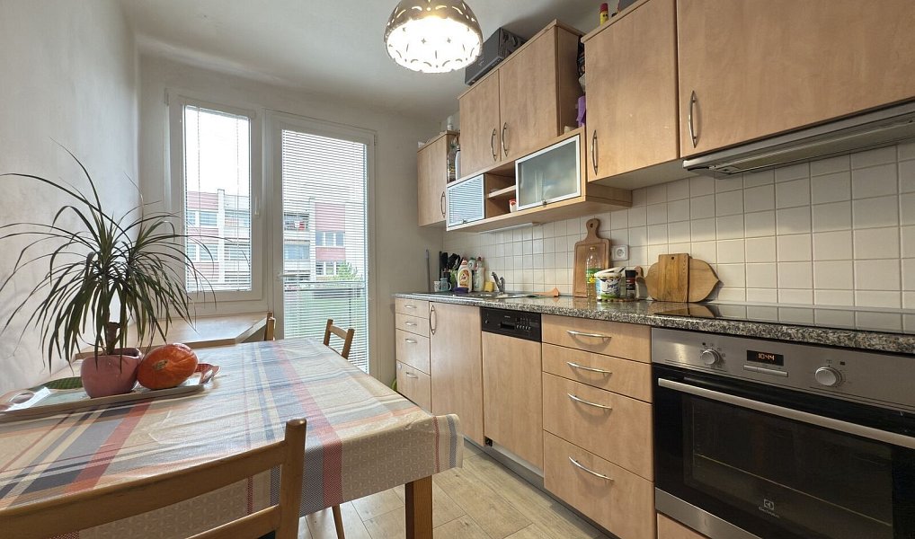 Pronájem bytu 3+1 76 m², Blatná – náhled fotky 9