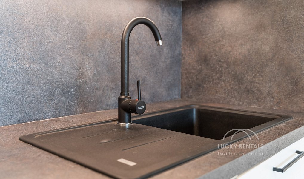 Pronájem bytu 1+kk 31 m², Praha – náhled fotky 12