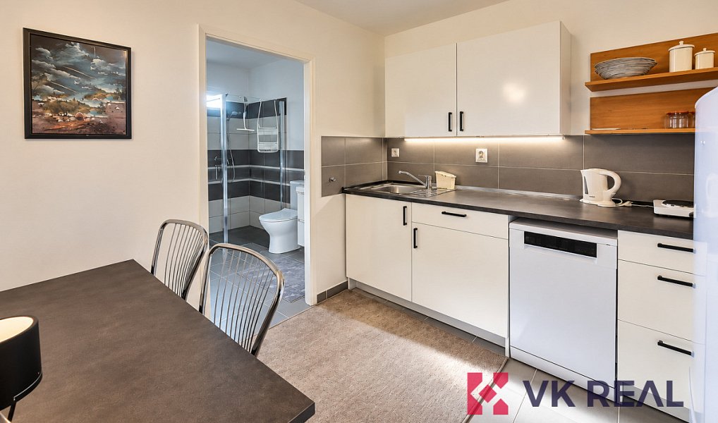 Pronájem bytu 1+1 40 m², Praha – náhled fotky 4