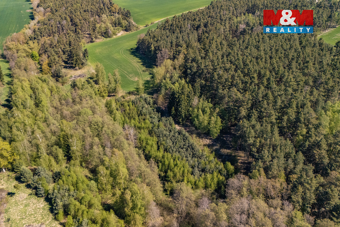 Prodej lesa 2 645 m² – další