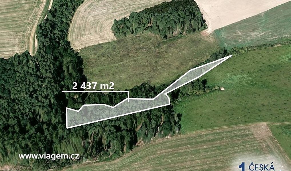 Prodej lesa 2 437 m², Šípy – náhled fotky 2