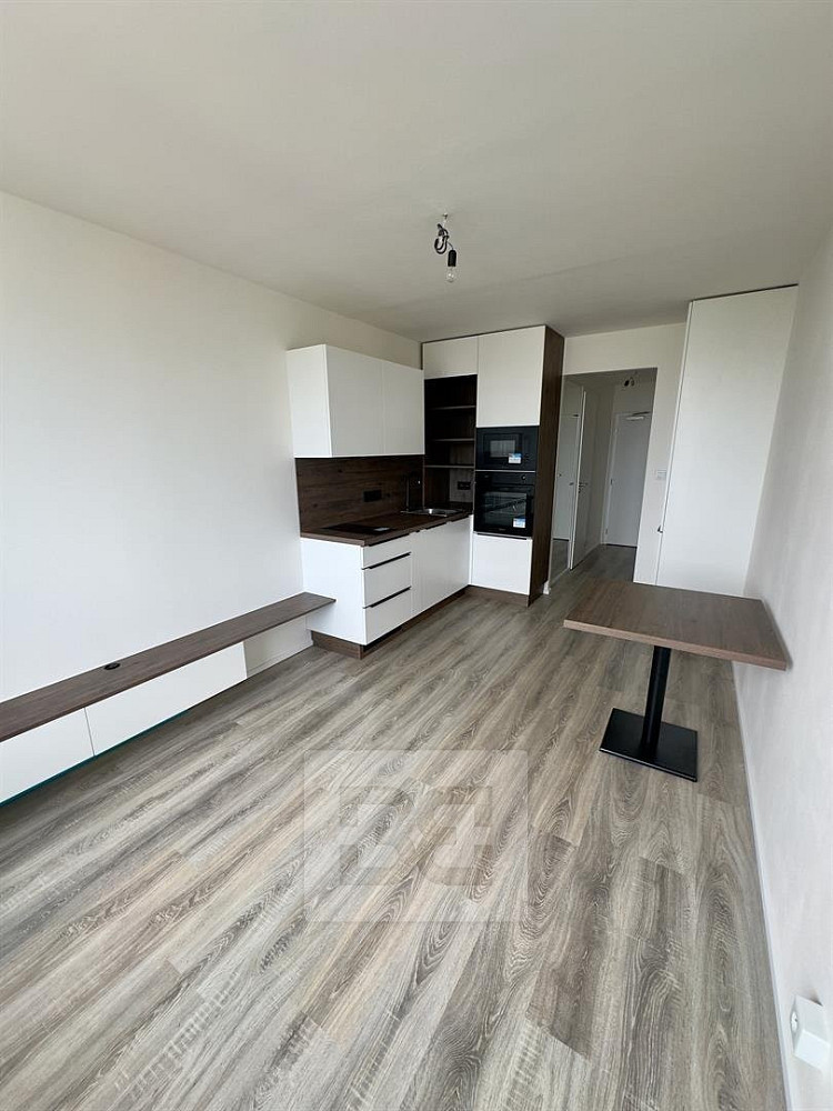 Pronájem bytu 1+kk 23 m² — photo 2