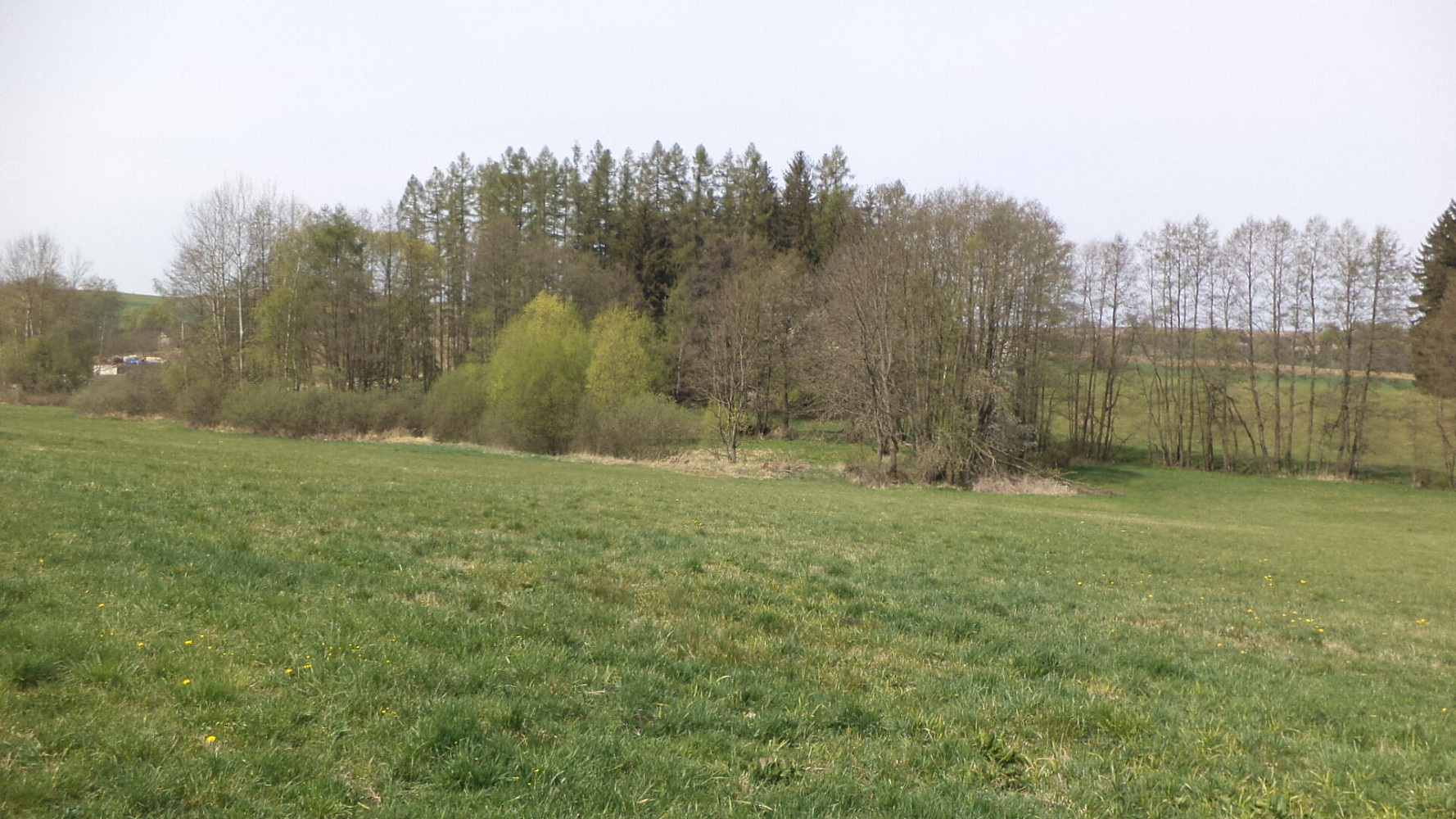 Prodej pole 8 388 m² – fotografie 5