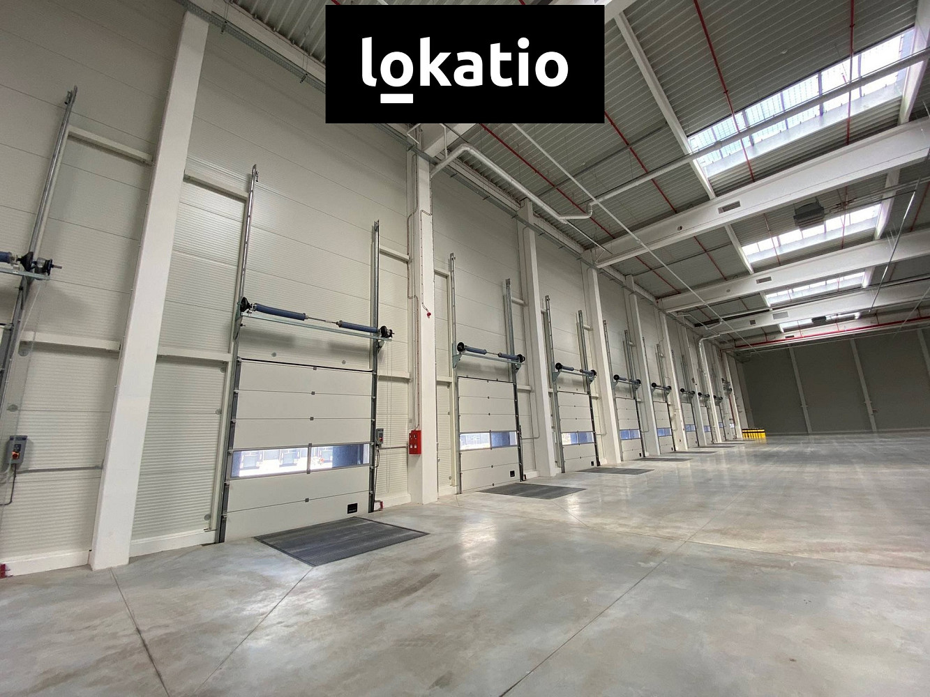 Pronájem skladovacích prostor 2 900 m² — photo 3