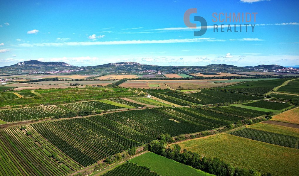 Prodej pozemku 15 935 m², Březí – náhled fotky 4
