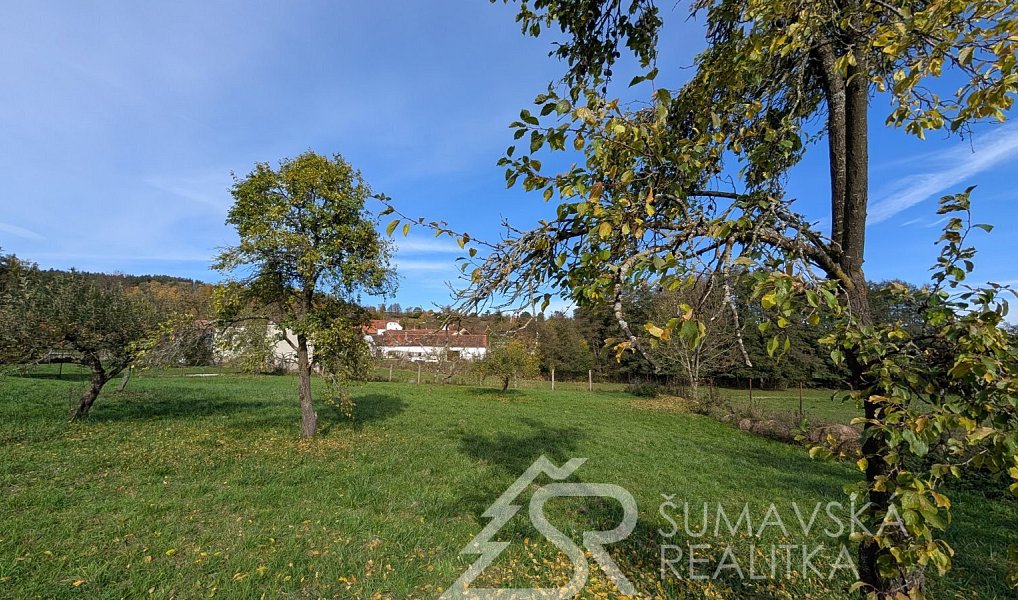 Prodej stavebního pozemku 1 966 m², Volenice – náhled fotky 8
