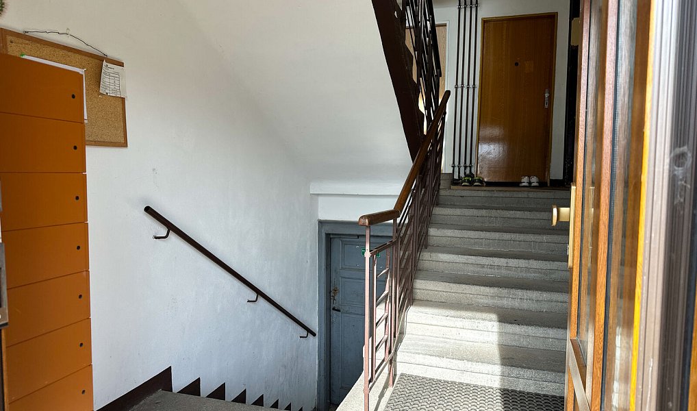 Prodej bytu 1+1 46 m², Planá – náhled fotky 11