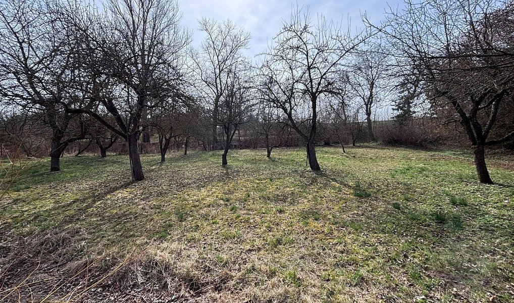 Prodej domu 133 m² s pozemkem 925 m², Slavíkovice – náhled fotky 22