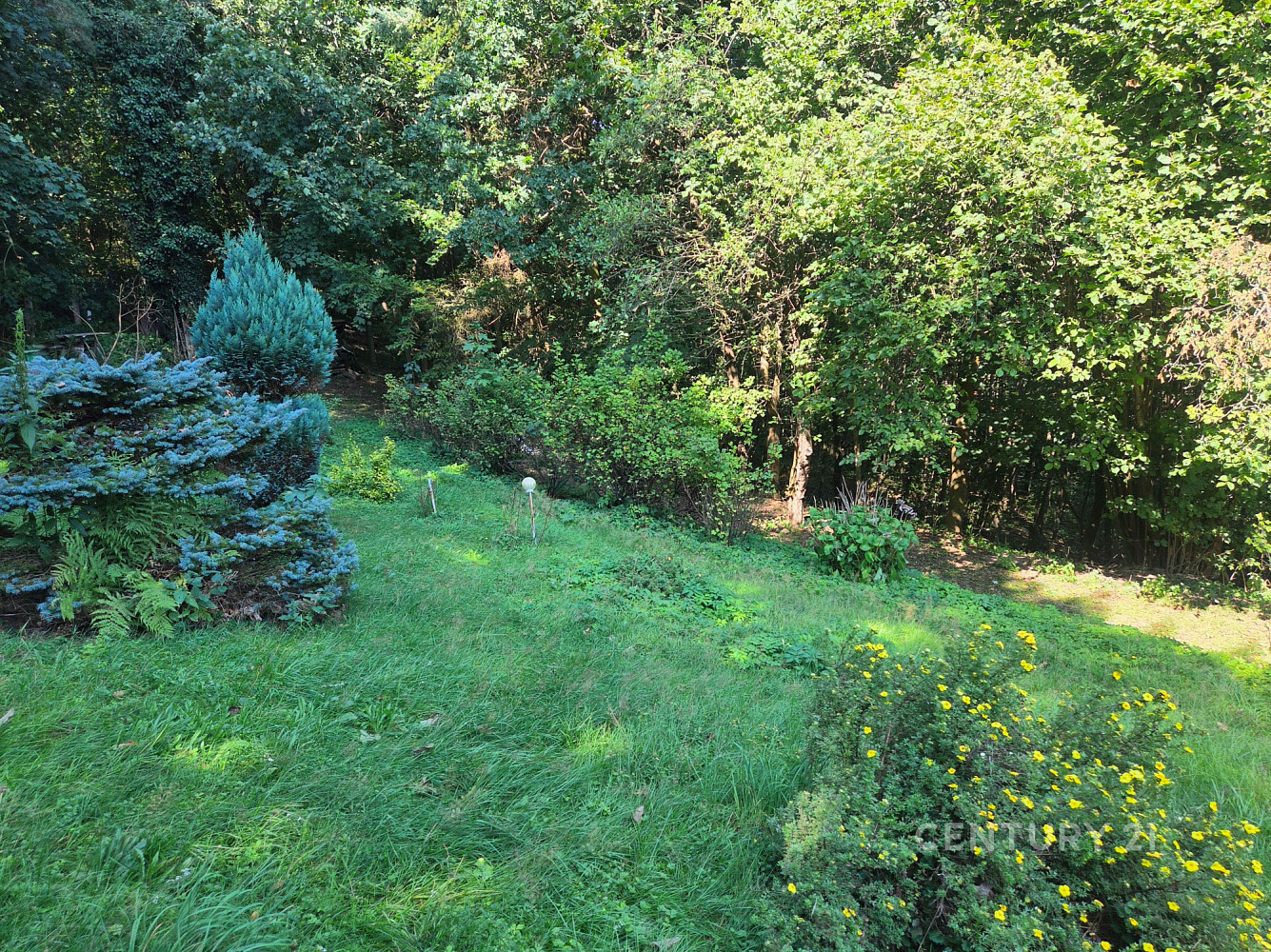 Prodej chaty/chalupy 55 m² s pozemkem 1 475 m² – fotografie 4