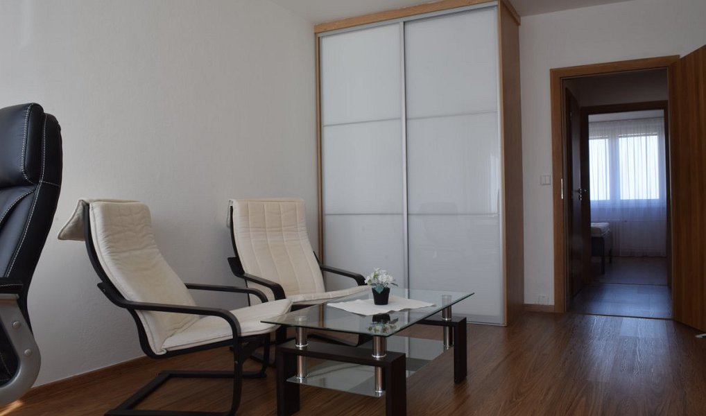 Pronájem bytu 3+1 76 m², Ostrava – náhled fotky 12