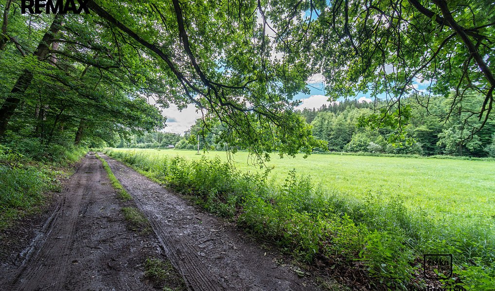 Prodej louky 1 169 m², Bratronice – náhled fotky 12