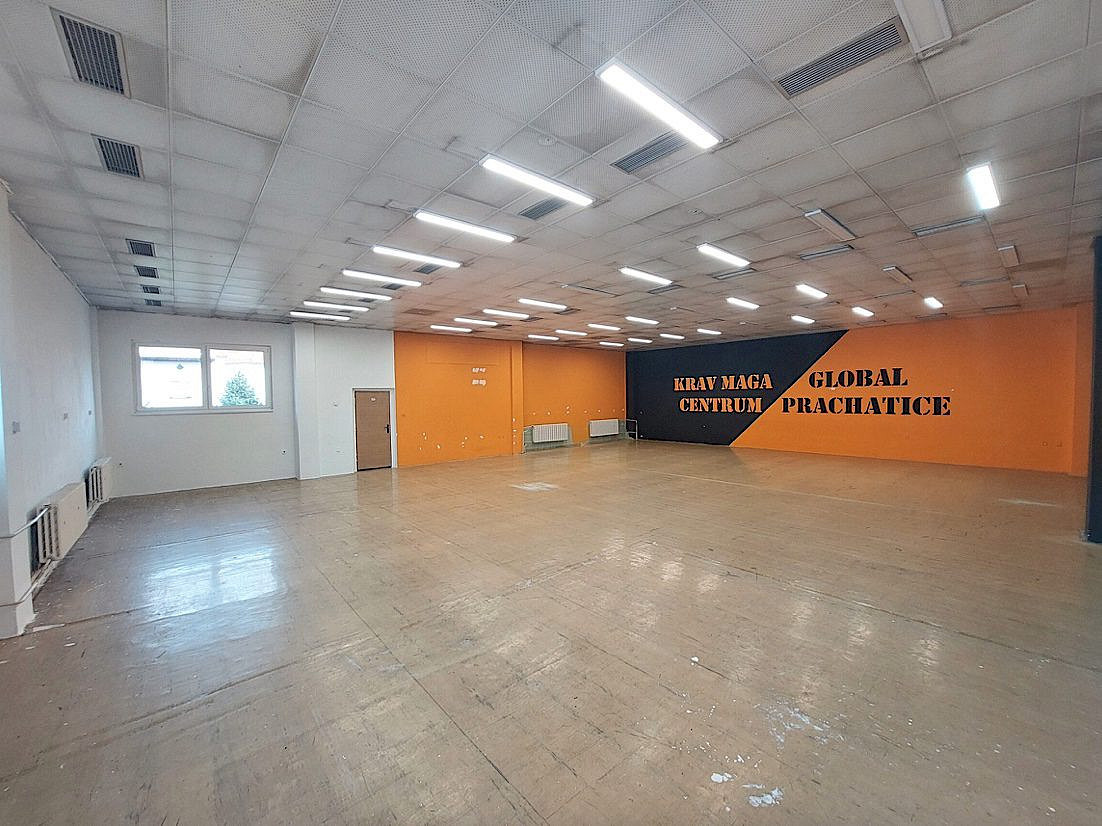 Pronájem obchodních prostor 193 m² – fotografie 2