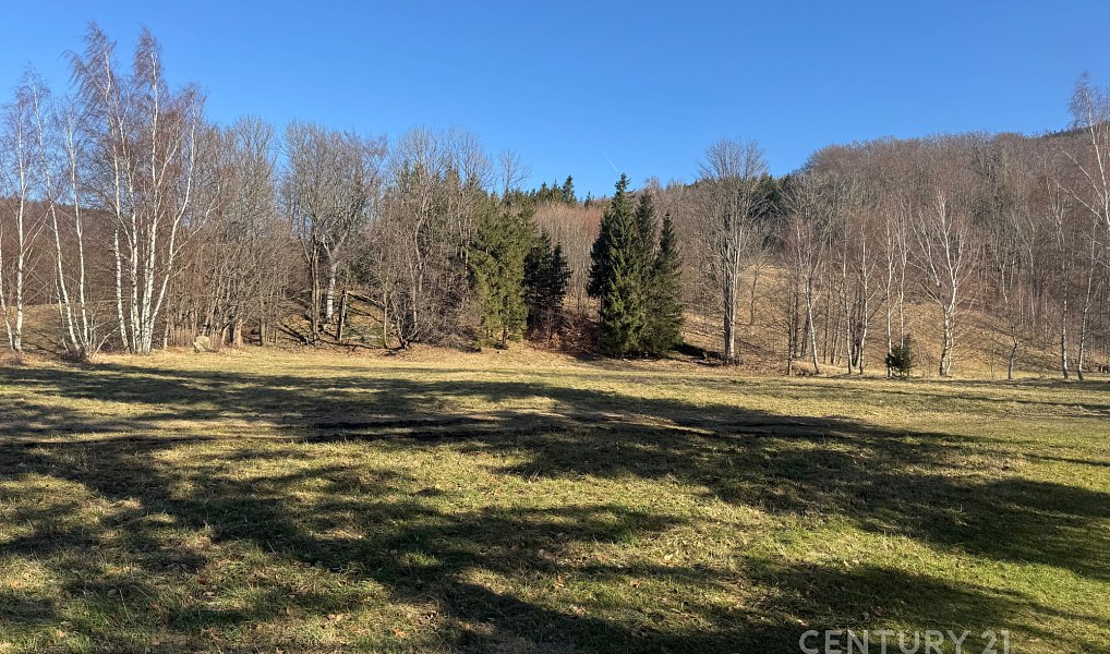 Prodej louky 3 194 m², Bílý Potok – náhled fotky 4