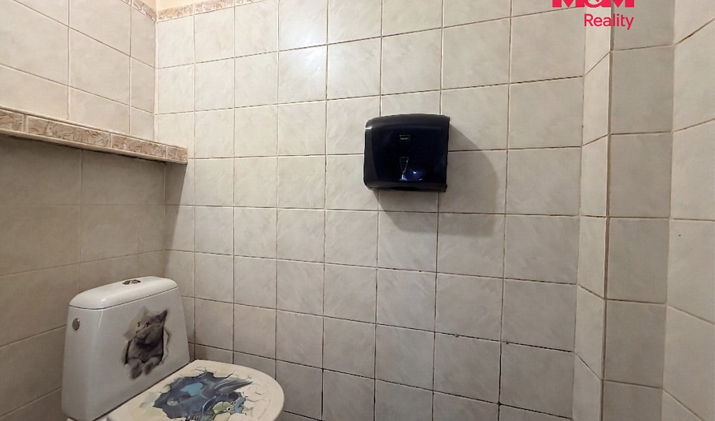 Prodej domu 90 m² s pozemkem 815 m², Dřešín – náhled fotky 10