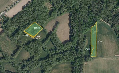 Prodej louky 4 849 m², Lázně Bohdaneč, okres Pardubice