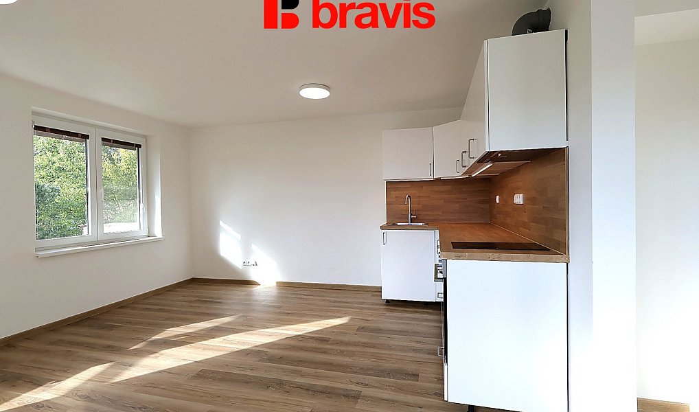 Pronájem bytu 1+kk 39 m², Brno – náhled fotky 4