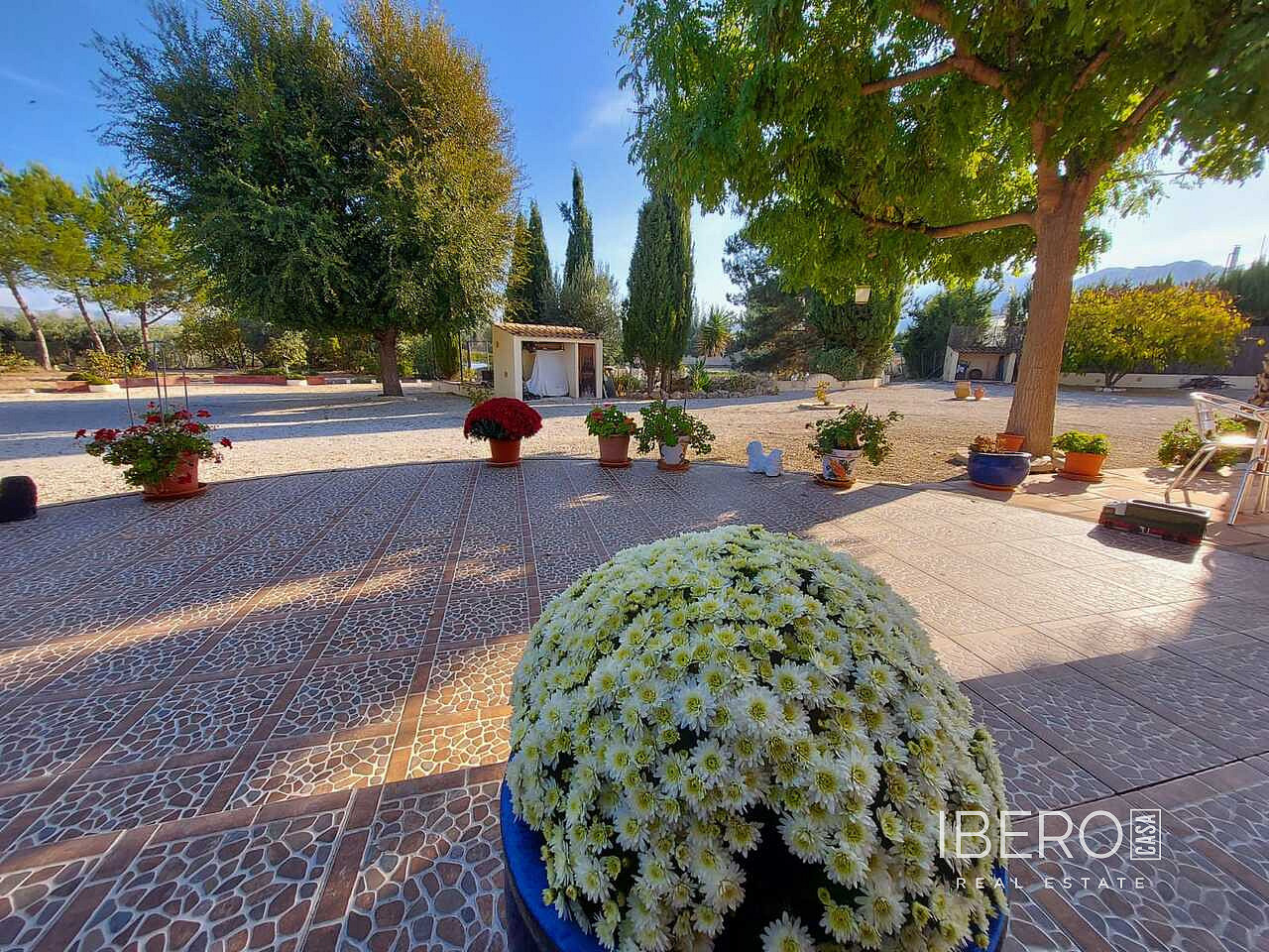 Casa 4+kk – Calasparra, Cañada de Manrique - Vista 5