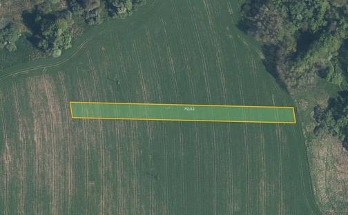 Prodej pole 3 846 m², Sedliště, okres Frýdek-Místek