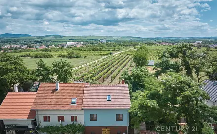Prodej domu 75 m² s pozemkem 122 m², Drnholec, okres Břeclav