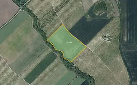 Prodej pole 42 369 m², Želkovice, okres Louny