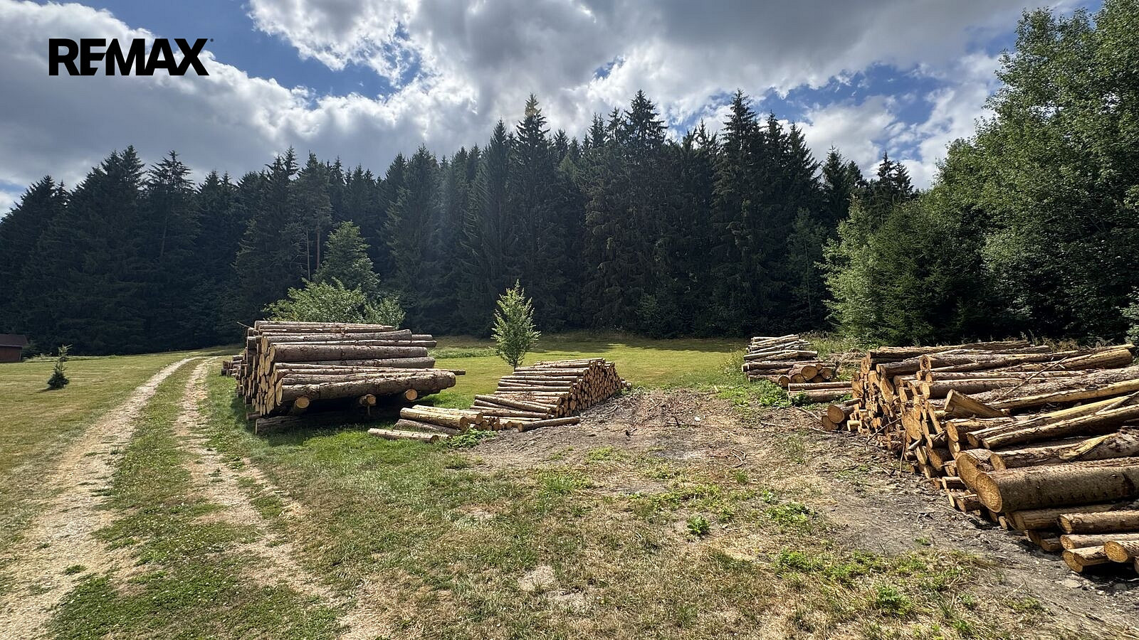 Prodej stavebního pozemku 1 387 m² – fotografie 3
