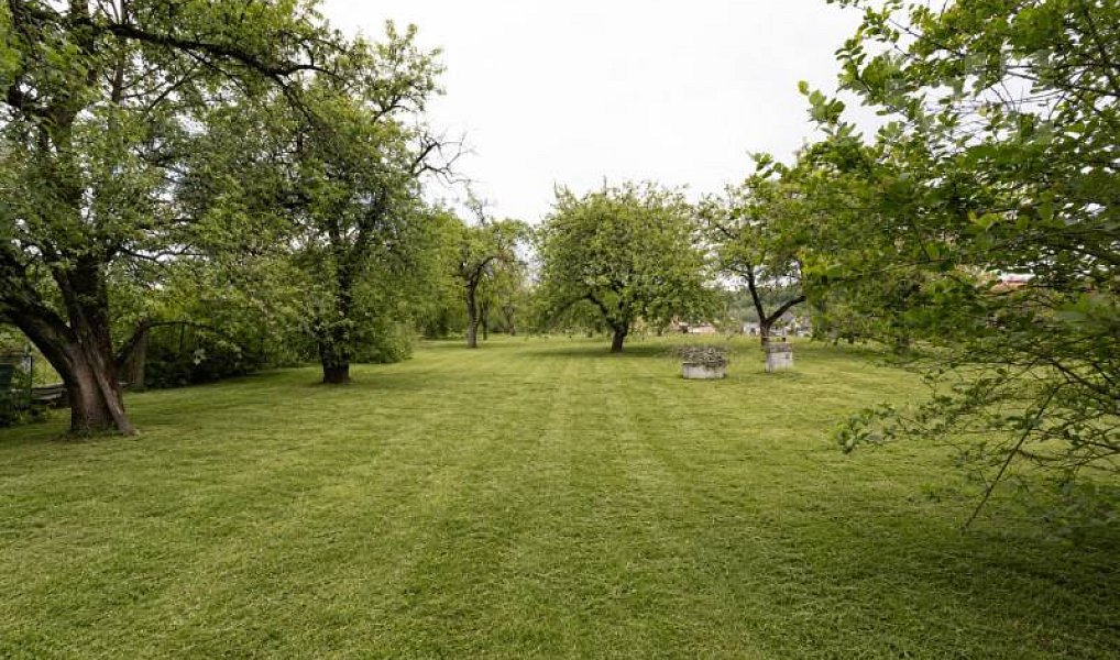 Prodej pole 4 525 m², Mikulovice – náhled fotky 3