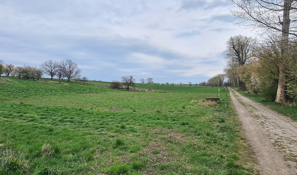Prodej stavebního pozemku 1 854 m², Jiříkovice – náhled fotky 2