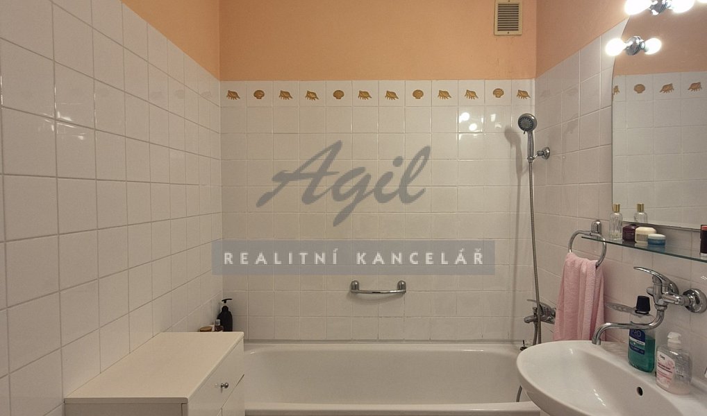 Prodej domu 250 m² s pozemkem 473 m², Slavkov u Brna – náhled fotky 12