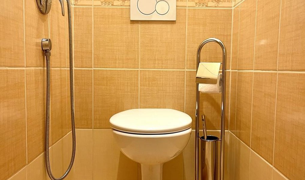 Pronájem bytu 1+kk 29 m², Frýdek-Místek – náhled fotky 10