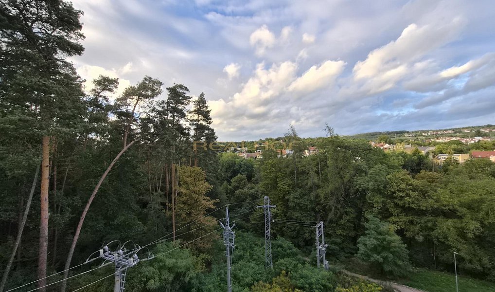 Pronájem bytu 1+kk 29 m², Brno – náhled fotky 4