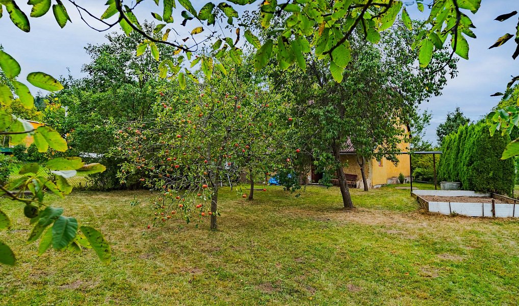 Prodej domu 142 m² s pozemkem 522 m², Svojanov – náhled fotky 11