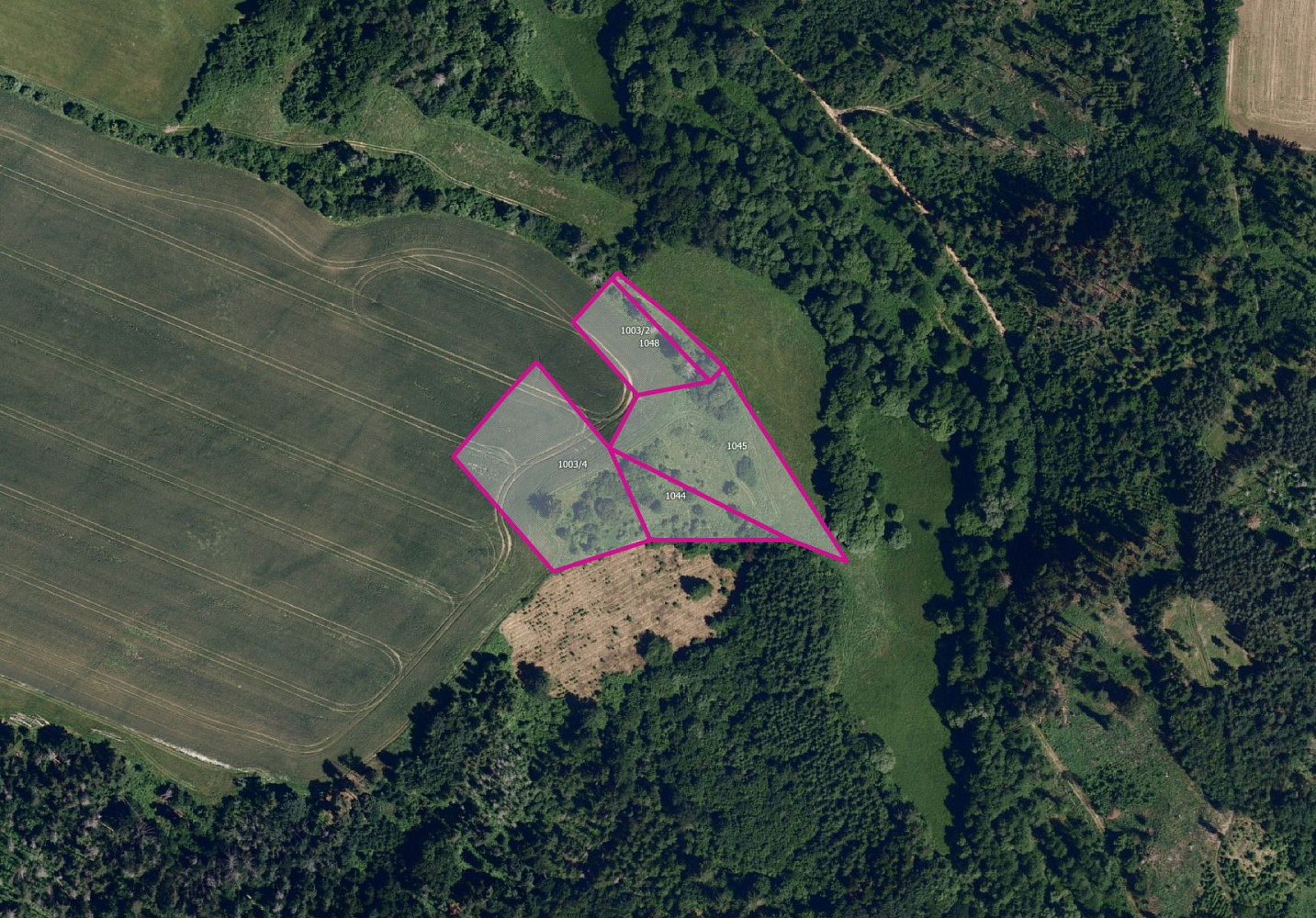 Prodej pole 9 329 m² – fotografie 2