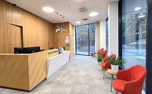 Pronájem bytu 2+kk 75 m², Kobrova, Praha 5 - Smíchov