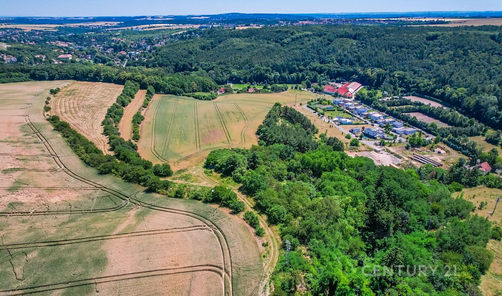 Prodej pole 1 495 m², Statenice – náhled fotky 10
