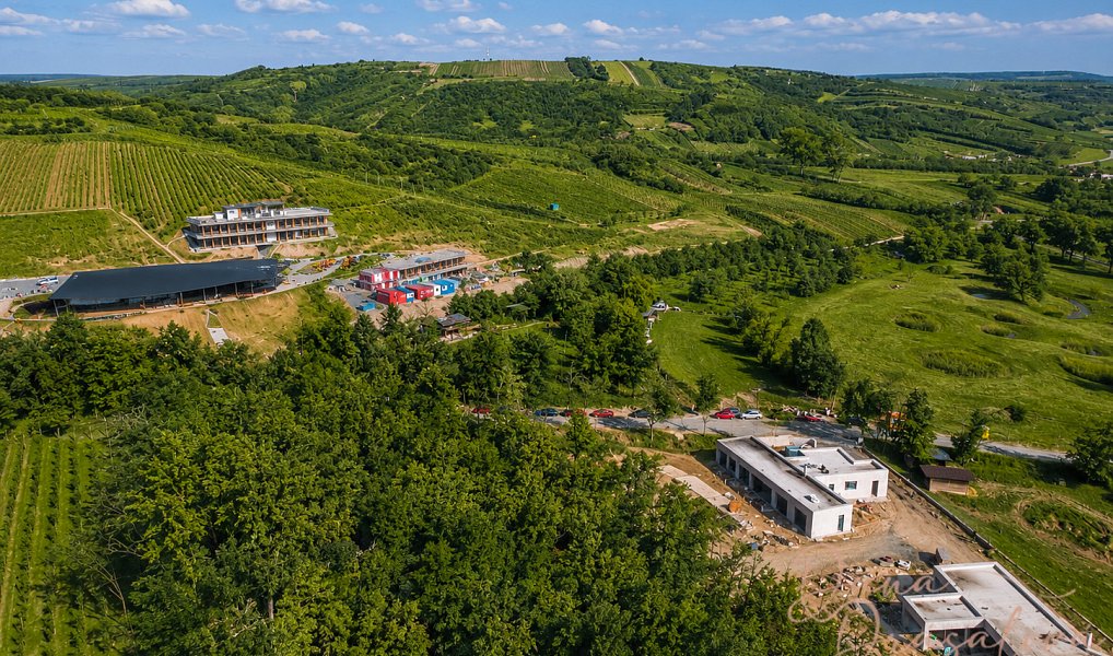 Prodej komerčního pozemku 7 238 m², Velké Pavlovice – náhled fotky 6
