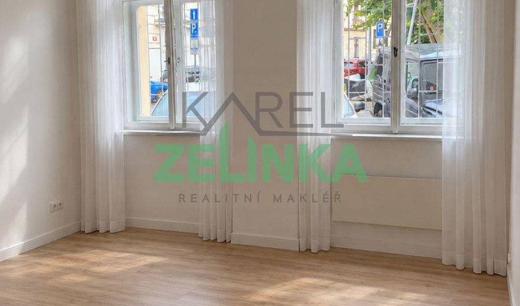 Pronájem bytu 1+kk 20 m², Praha – náhled fotky 4